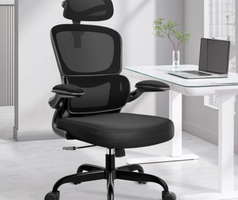 Lidwien+Ergonomic+Breathable+Mesh+Office+Chair+with+Adjustable+Headrest+and+Flip-Up+Arms-1520254156