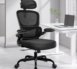 Lidwien+Ergonomic+Breathable+Mesh+Office+Chair+with+Adjustable+Headrest+and+Flip-Up+Arms-1520254156